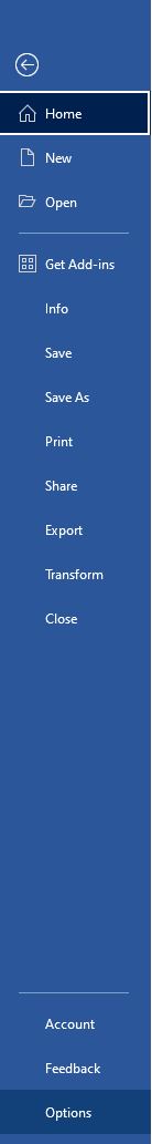 MS Word Option