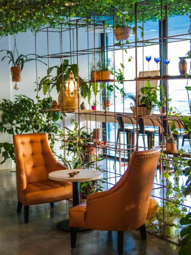 Photography of Table And Chairs Near Plants