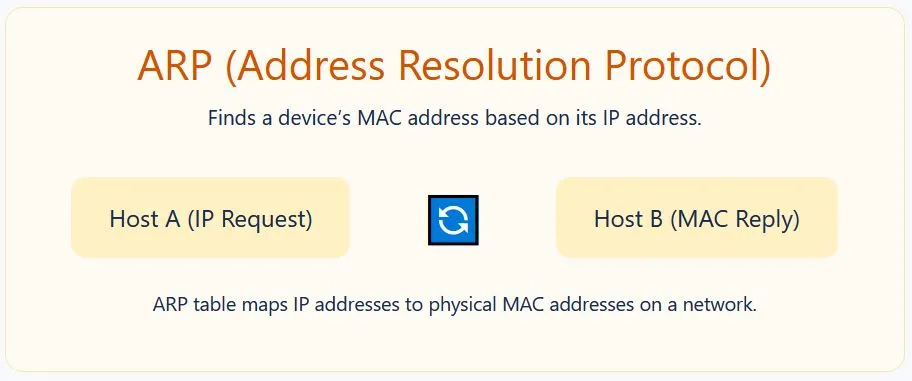 ARP maps IP addresses to MAC addresses inside local networks.